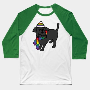 Cute Dog and Rainbow Pride Flag Hat and Scarf Baseball T-Shirt